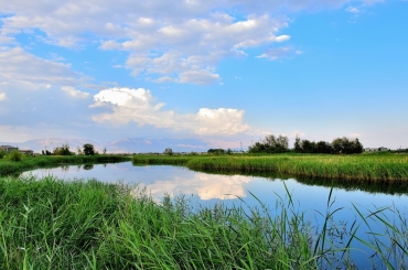 MBR南水北調(diào)水源地應用加碼 市場拉升動力強勁